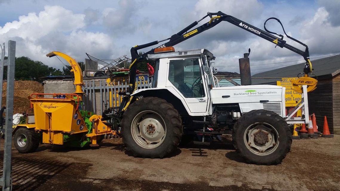 Tree Surgeons | Staines, Middlesex Barkland Tree Specialists 