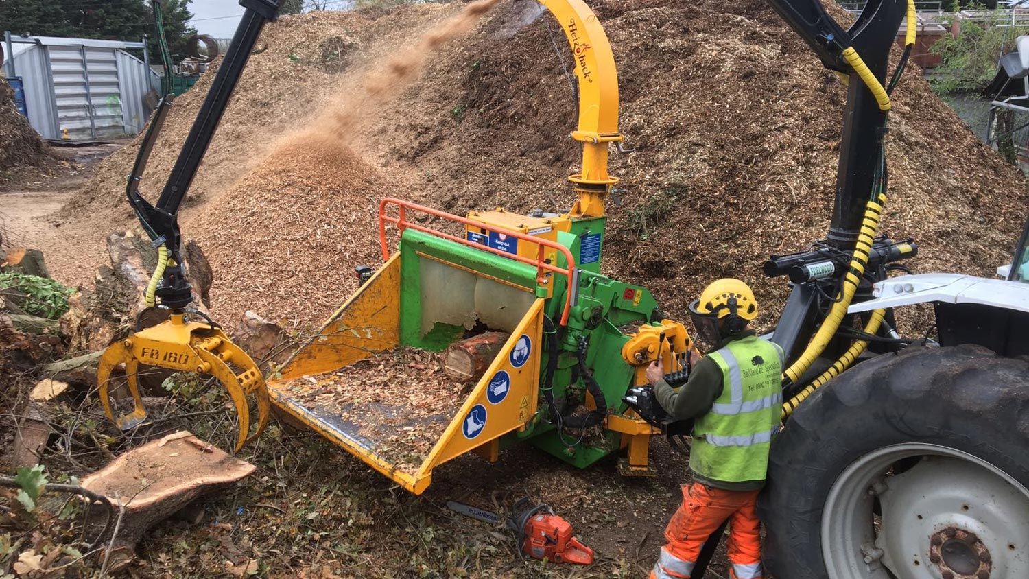Tree Surgeons | Staines, Middlesex Barkland Tree Specialists 